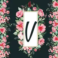 v name dp